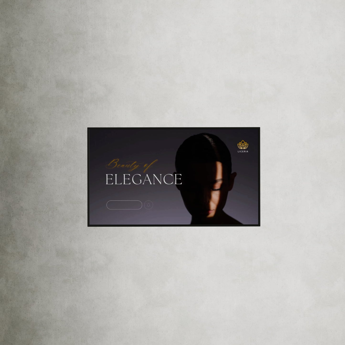 43 Inch High Brightness Narrowcasting Display - hangend aan wand of plafond - variabele oriëntatie - 3000 Nits