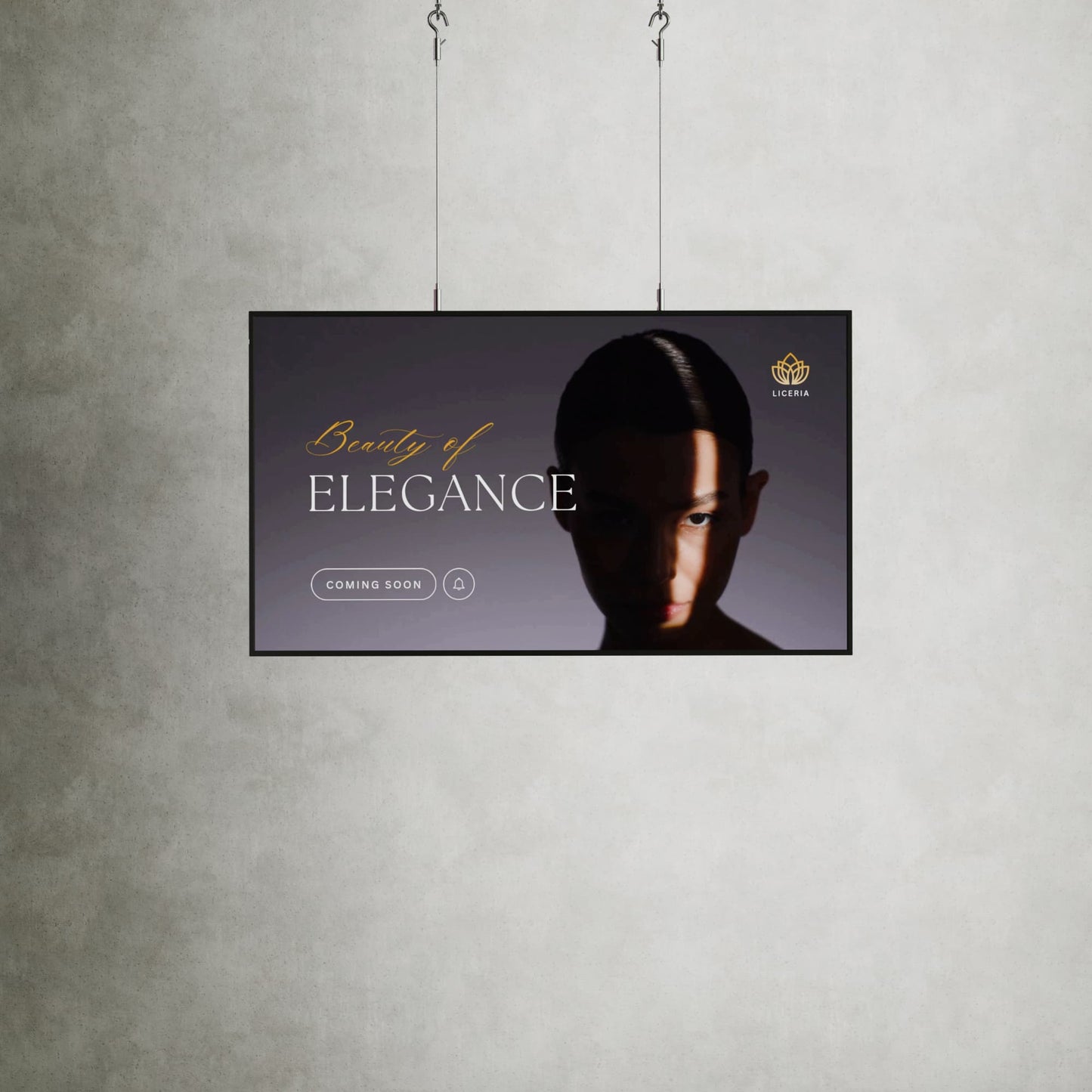 Digitale reclamescherm 3000 nits 4K. Voor wandmontage of aan kabels vanuit het plafond.