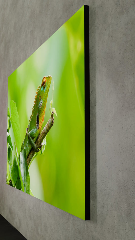 Horizontaal Indoor LED Scherm 1m x 1.75m (80") – Compacte LED Wall voor Indoor Narrowcasting