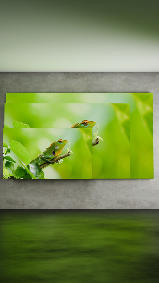 Horizontaal indoor LED scherm 80" 115" en 137"