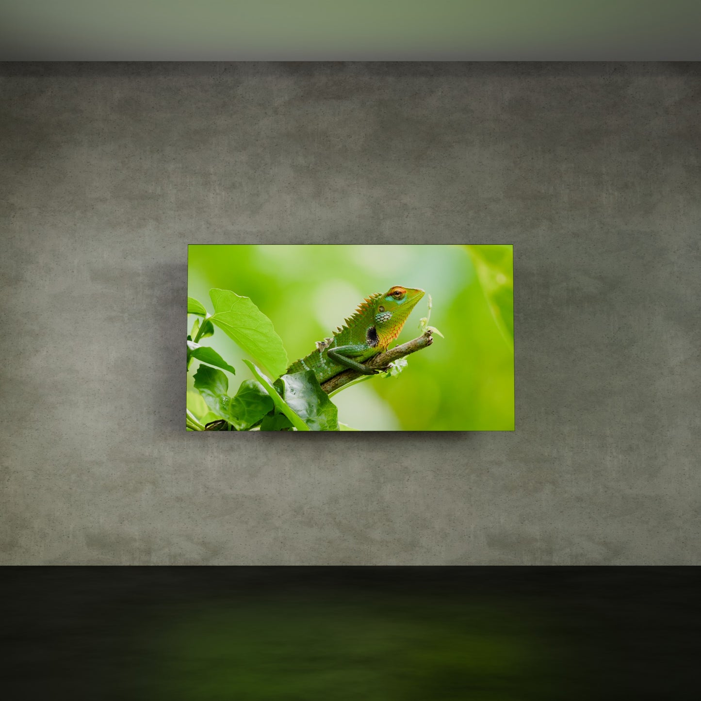 Horizontaal Indoor LED Scherm 1m x 1.75m (80") – Compacte LED Wall voor Indoor Narrowcasting