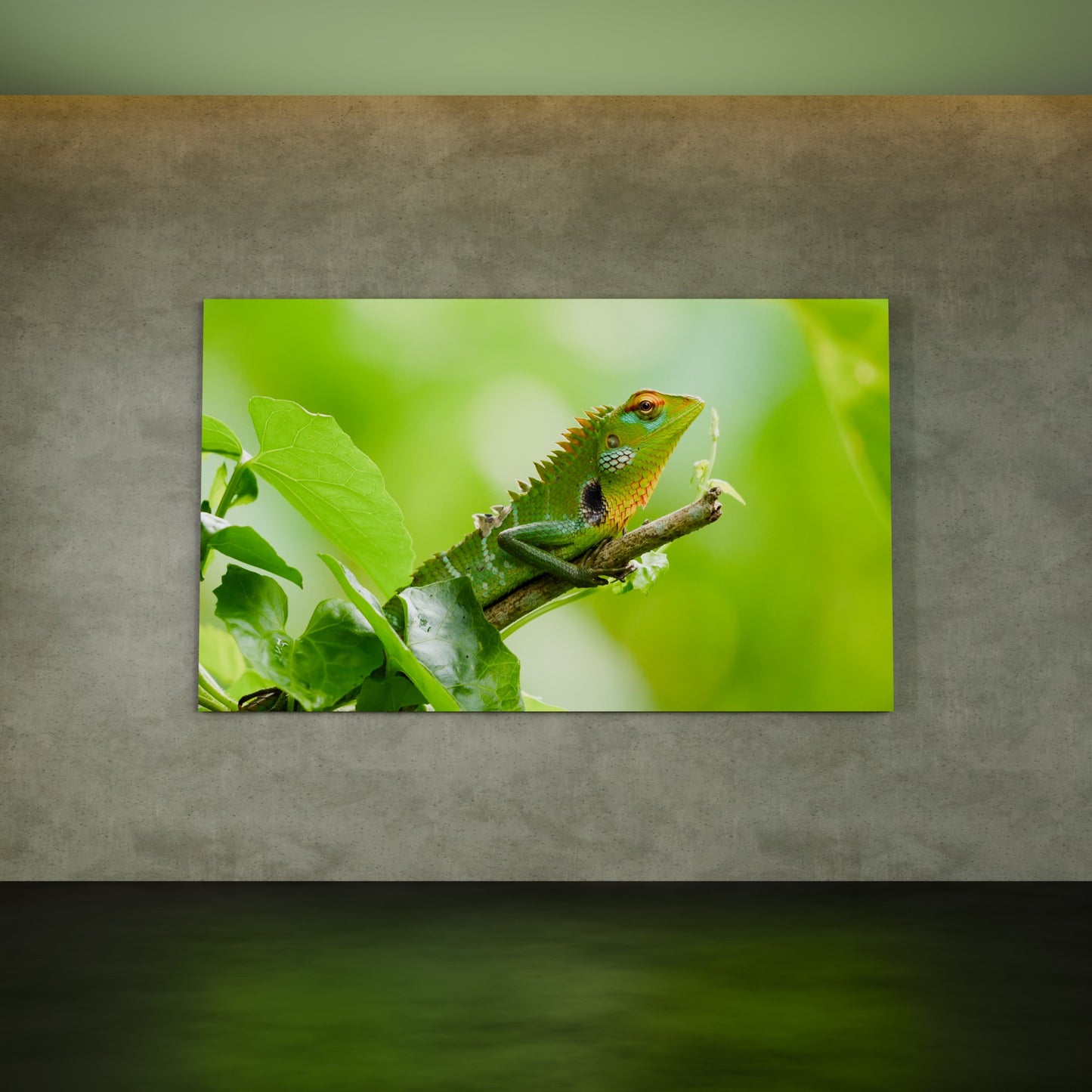 Horizontaal Indoor LED Scherm 1m x 1.75m (80") – Compacte LED Wall voor Indoor Narrowcasting