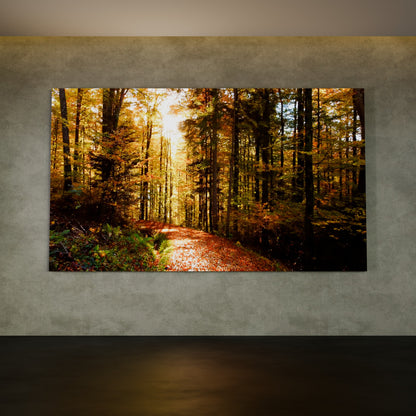 Horizontaal Indoor LED Scherm 2.5m x 4.5m (203") – Grote Indoor LED Wall voor Digital Signage