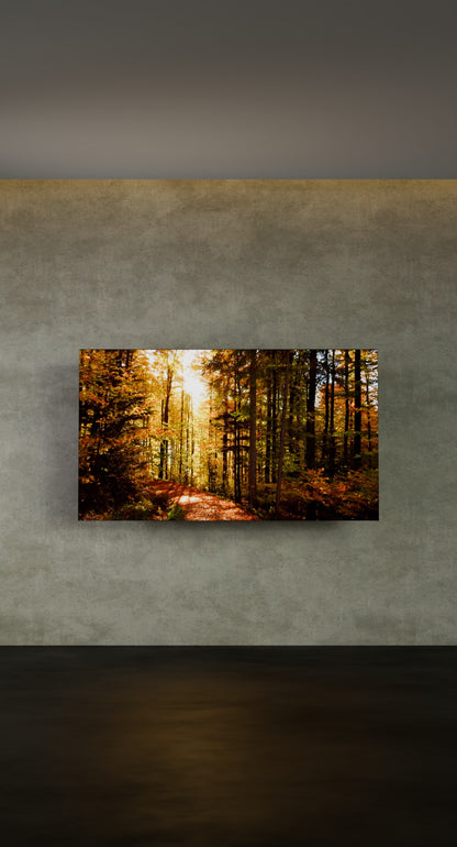 Verticaal Indoor LED Scherm 2.5m x 4.5m (203") – XL Indoor LED Display voor Winkel & Evenementen